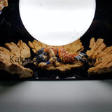 Figurine LED Dragon Ball Z :Son Goku VS Nappa ET  Yamcha