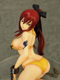Figurine pour adulte FAIRY TAIL :Erza Scarlet