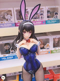 Figurine pour adulte de Collection Kasumigoaka