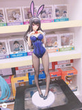 Figurine pour adulte de Collection Kasumigoaka