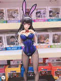 Figurine pour adulte de Collection Kasumigoaka